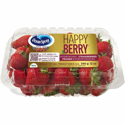 Ocean Spray® Happy Berry™ Hydroponic Strawberries Perspective: front