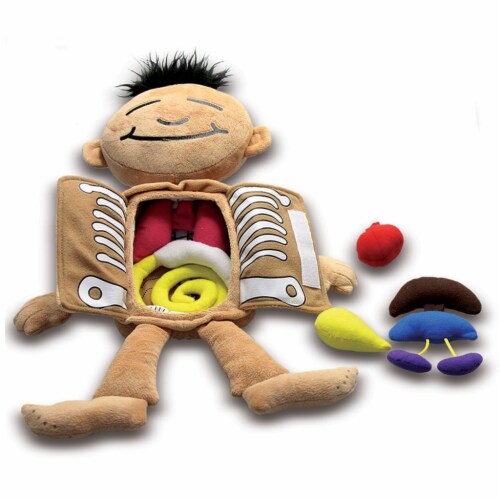 Roylco R-59257 What is Inside Me Doll Perspective: front