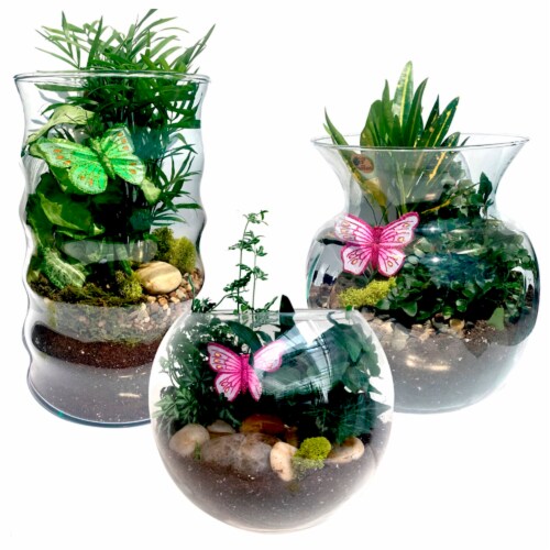 Glass Terrarium Garden Perspective: front