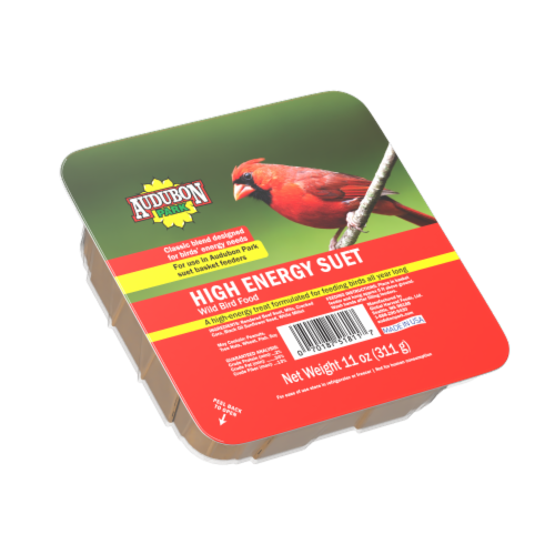 Audubon Park High Energy Suet Wild Bird Food Perspective: front