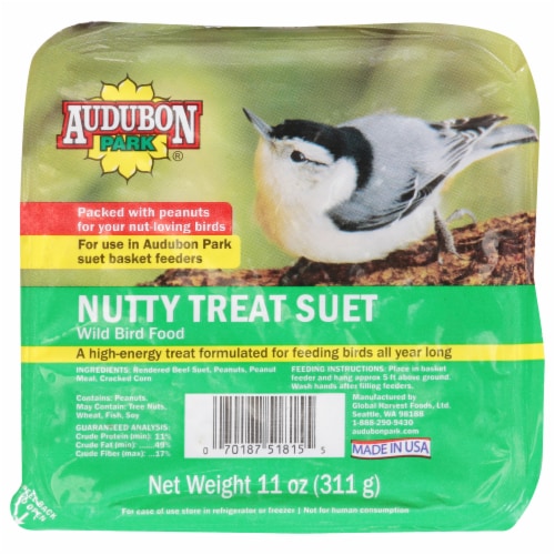 Audubon Park® Nutty Treat Suet Wild Bird Food Perspective: front