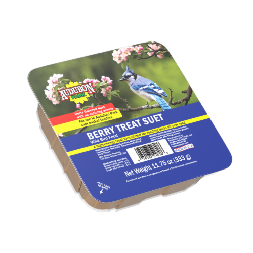 Audubon Park® Berry Treat Suet Wild Bird Food Perspective: front