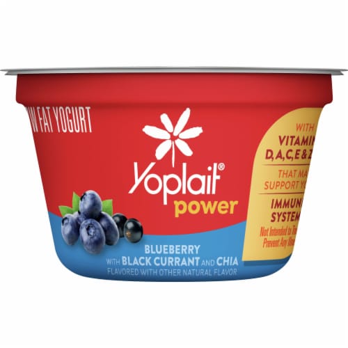 Yoplait® Power Blueberry with Black Currant and Chia Low Fat Yogurt Cup Perspective: front