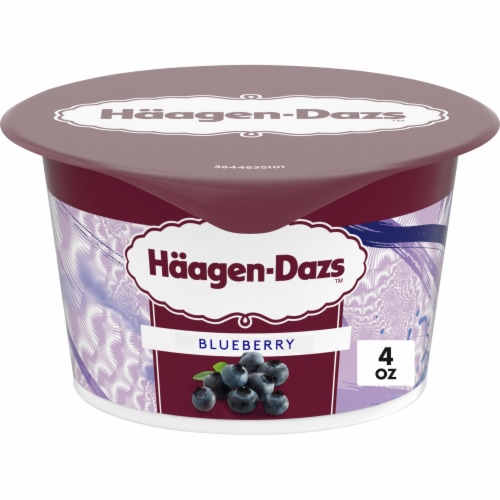 Haagen Dazs Blueberry Cultured Creame Yogurt Perspective: front