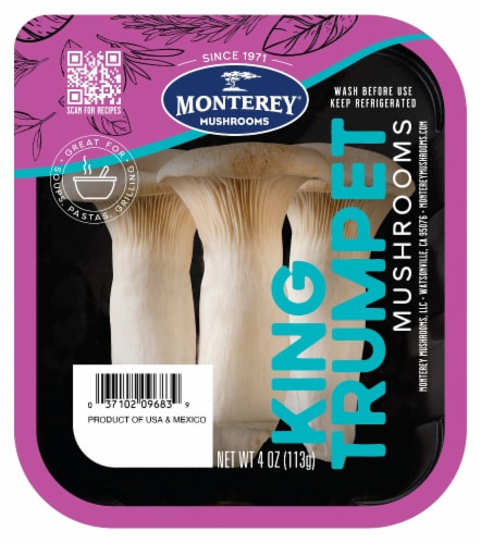 King Trumpet Mushrooms Perspective: front