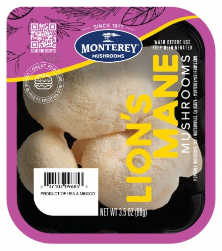Lion’s Mane Mushrooms Perspective: front
