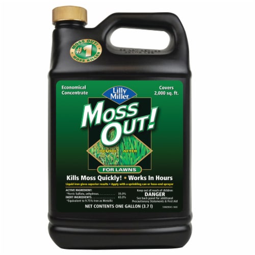 Lilly Miller Moss Out for Lawns, 1 gal Ralphs