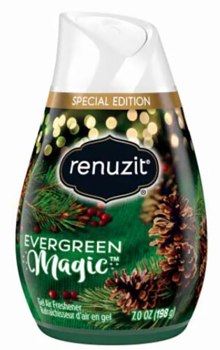 Renuzit® Adjustable Evergreen Magic Gel Air Freshener Perspective: front