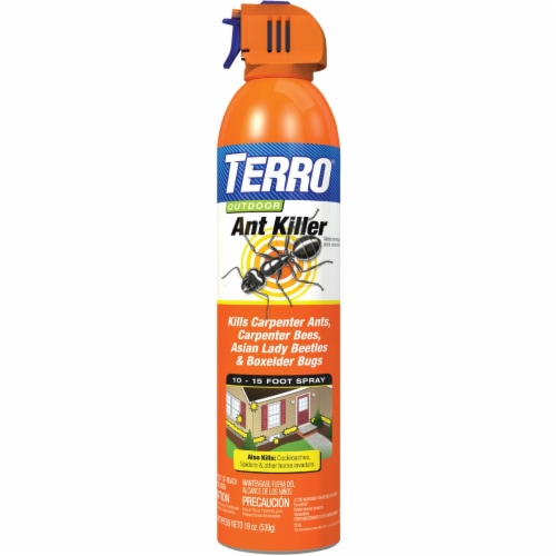 Terro 19 Oz. Aerosol Spray Outdoor Ant & Roach Killer T1700-6 Perspective: front
