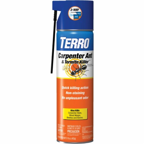 Terro Ant Bait Review [Better Alternatives?] (2024)