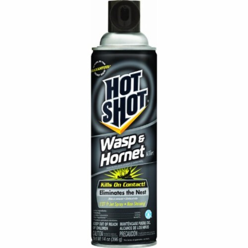Hot Shot Wasp & Hornet Killer, Aerosol Spray Perspective: front