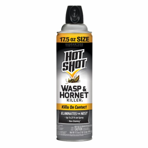 Hot Shot® Wasp and Killer Spray, 14 oz Kroger