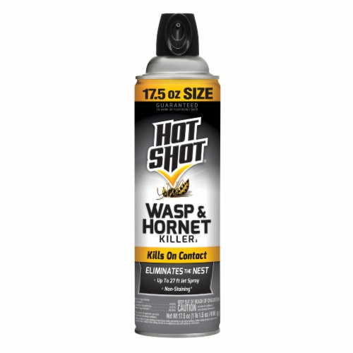 Hot Shot® Wasp and Hornet Killer Spray Perspective: front