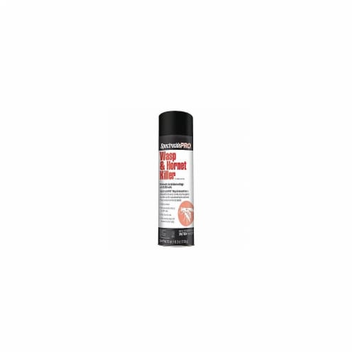 Spectracide HG-30110 18 oz Spectracide Pro Wasp & Hornet Killer Aerosole Perspective: front