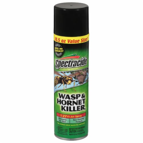 Spectracide Wasp & Hornet Killer Perspective: front