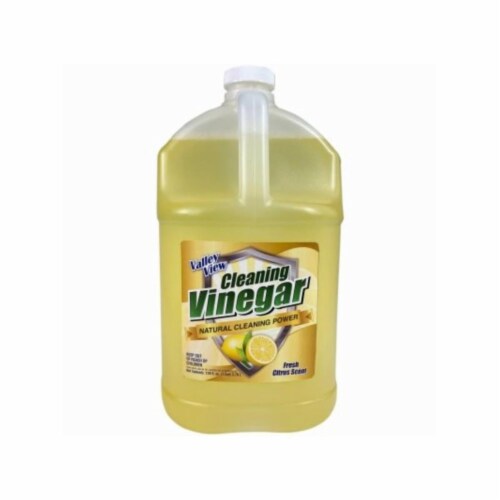 Stearns Packaging 105617 1 gal Cleaning Vinegar Perspective: front