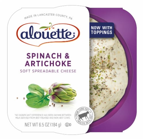 Alouette® Spinach & Artichoke Soft Spreadable Cheese Perspective: front