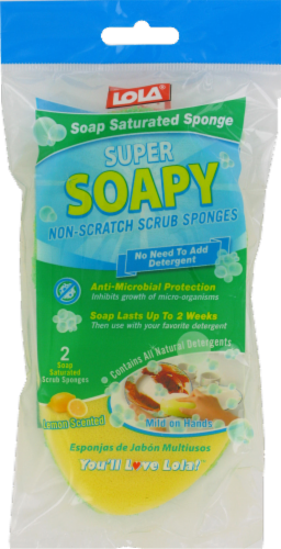 Lola Soap Saturated Sponges Perspective: front