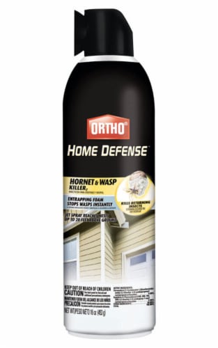 Ortho Home Defense Liquid Wasp and Hornet Killer 16 oz