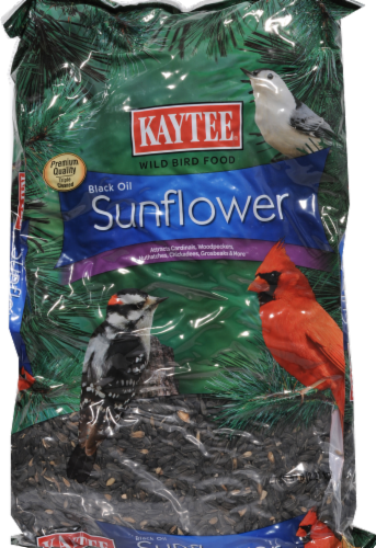 Kaytee Sunflower Seeds Perspective: front