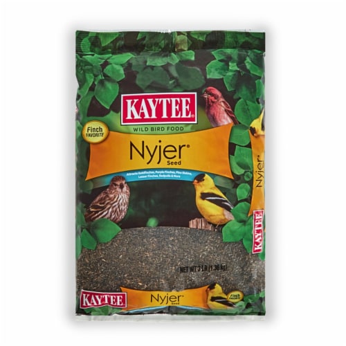 KT NYJER 3LB Perspective: front