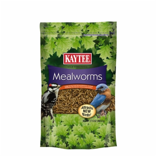Kaytee® Mealworms Wild Bird Food Perspective: front