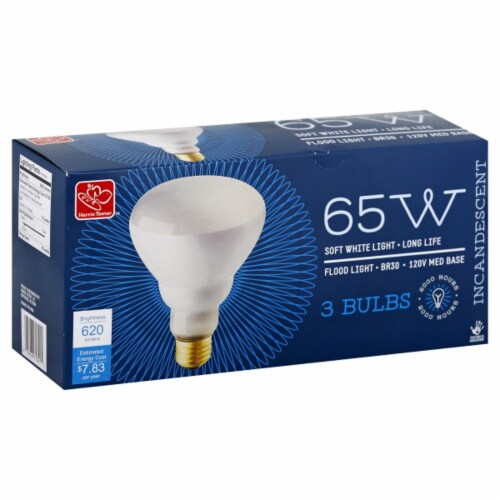 65 watt incandescent flood light deals