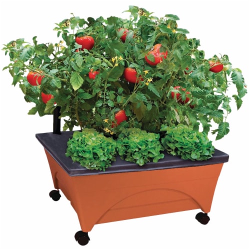Payless garden city deals