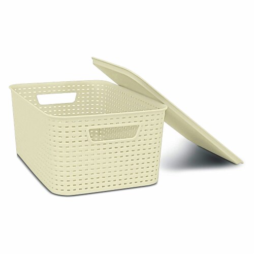 Large PP Woven Plastic Storage Basket with Lid, Storage Box