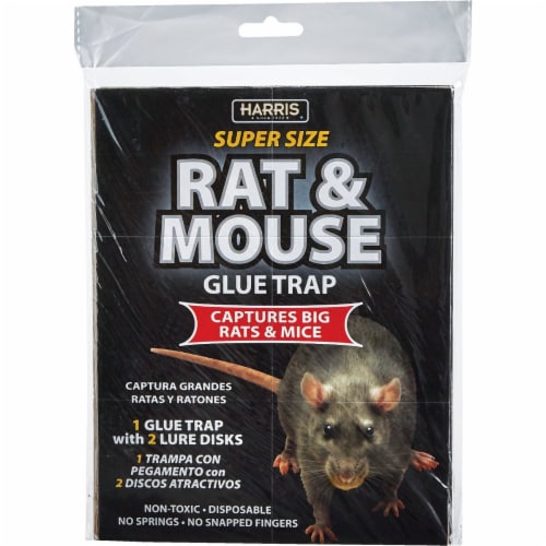 Harris Reusable Plastic Mouse Trap (24-Pack)