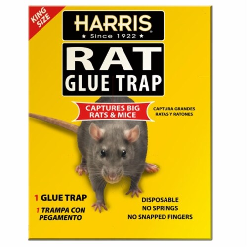 PF Harris RAT-KING Rat & Mouse Glue Trap - King Sized Perspective: front