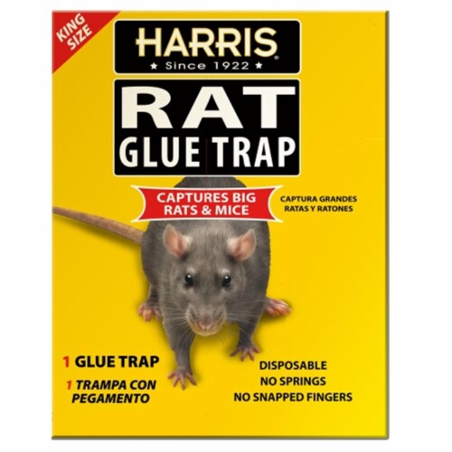 Super Mouse and Rat Glue Trap