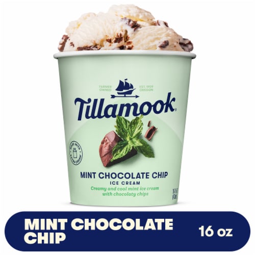 Tillamook Mint Chocolate Chip Ice Cream Perspective: front