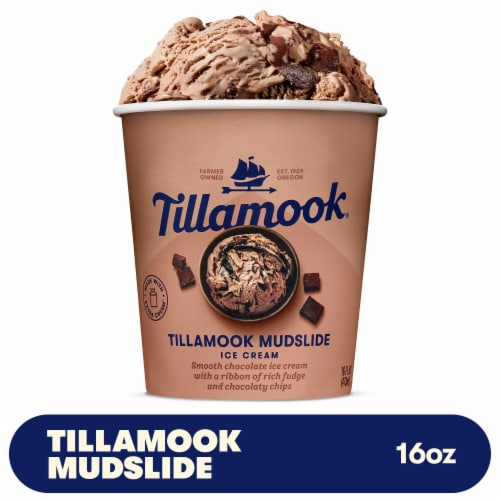 Tillamook Mudslide Ice Cream Perspective: front