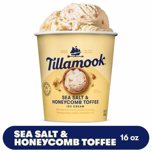 Tillamook Sea Salt & Honeycomb Toffee Ice Cream Perspective: front
