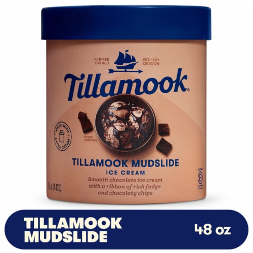 Tillamook Mudslide Ice Cream