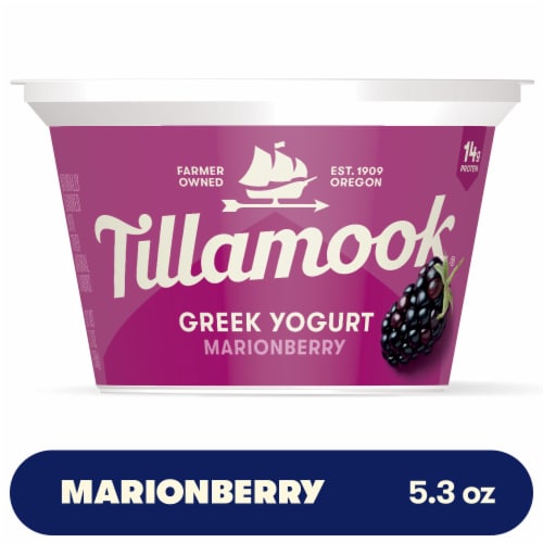 Tillamook Marionberry Greek Yogurt Cup Perspective: front