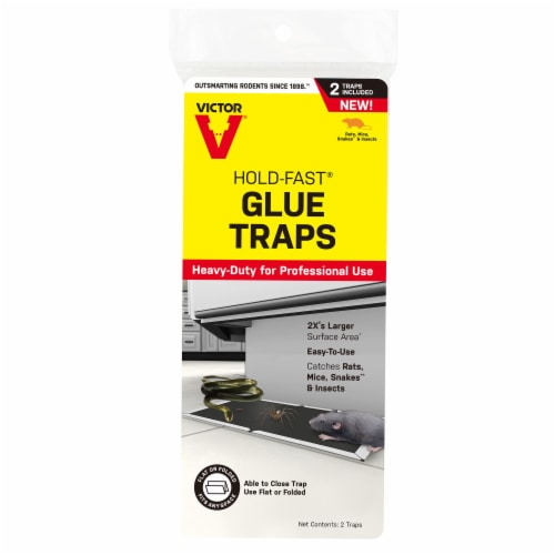 Victor Mouse Traps - 2 traps