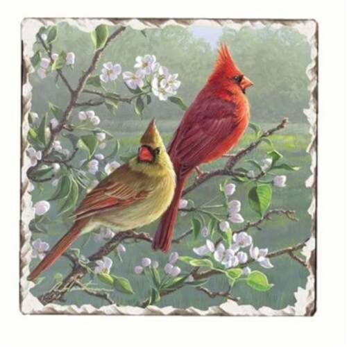 Counter Art CART11182 Cardinals Number 1 Single Tumbled Tile Coaster Perspective: front