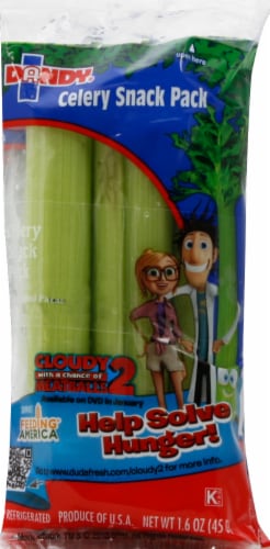 Dandy® Celery Snack Pack Perspective: front