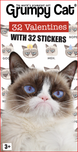 Paper Magic Grumpy Cat Valentines with Stickers Perspective: front