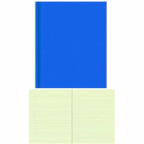 Rediform44001National Brand Chemistry Lab Book Perspective: front