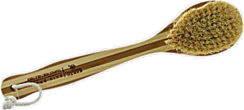 Earth Therapeutics Vegetable Fiber Skin Brush Perspective: front