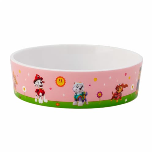 Paw Patrol Girl Soap Dish - All Paws In Perspective: front