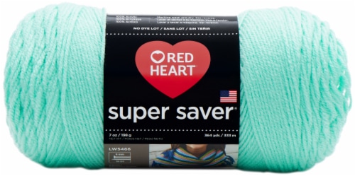 Red Heart Super Saver Yarn - Minty Perspective: front