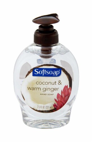 Softsoap Coconut & Warm Ginger Hand Soap Perspective: front