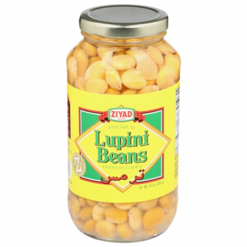 Ziyad Lupini Beans Perspective: front