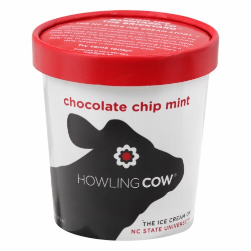 Howling Cow® Chocolate Mint Chip Ice Cream Perspective: front