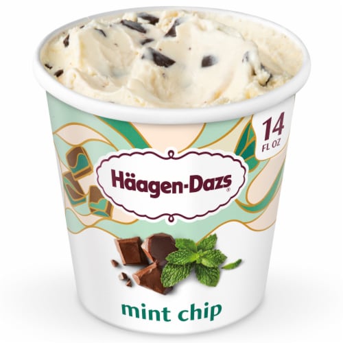 Haagen Dazs® Mint Chocolate Chip Ice Cream Perspective: front