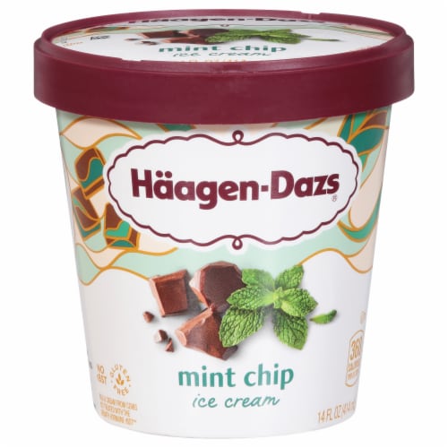 Haagen Dazs® Mint Chocolate Chip Gluten Free Ice Cream Perspective: front